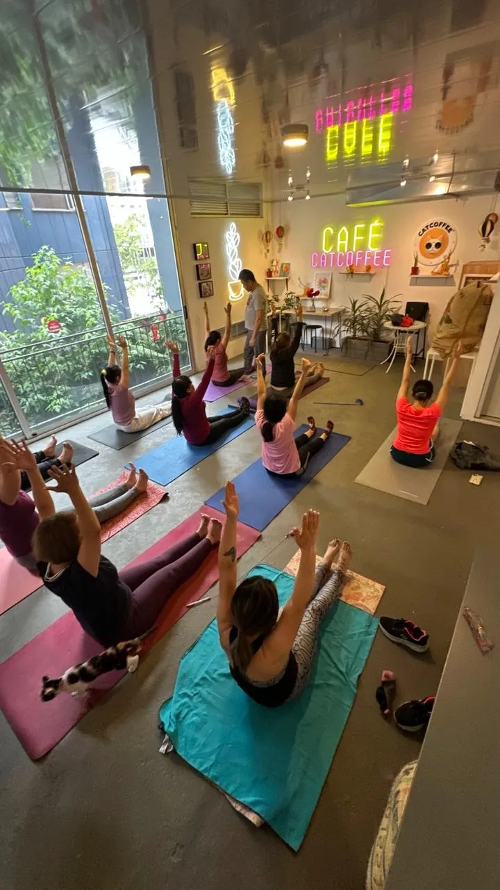 Guests practicing yoga under the CatCoffee café neon sign